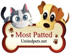 most patted award